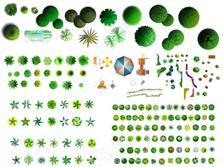 彩平图素材 总平图素材 彩平树图片