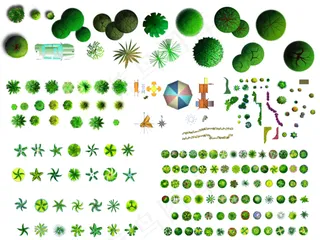 彩平图素材 总平图素材 彩平树图片