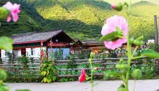 白马寨近景图片