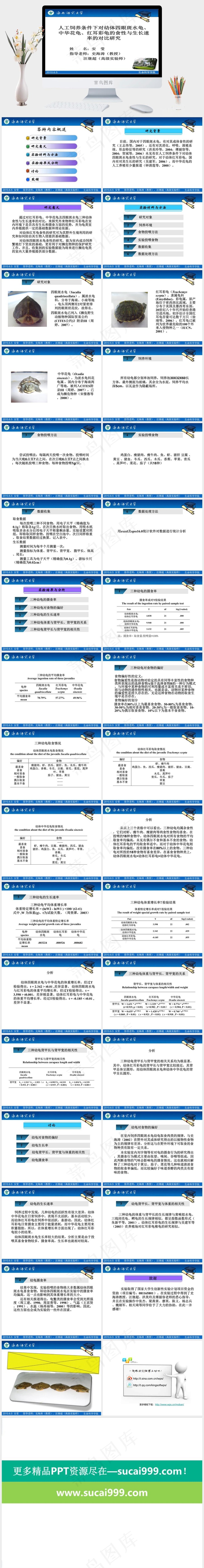 水生物研究答辩PPT模板白色PPT模板白色PPT模板