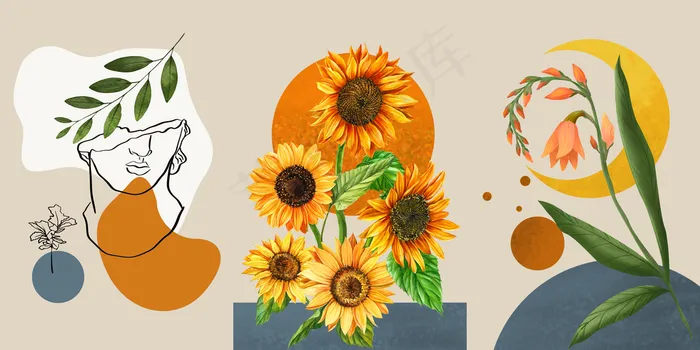手绘向日葵植物插画图片