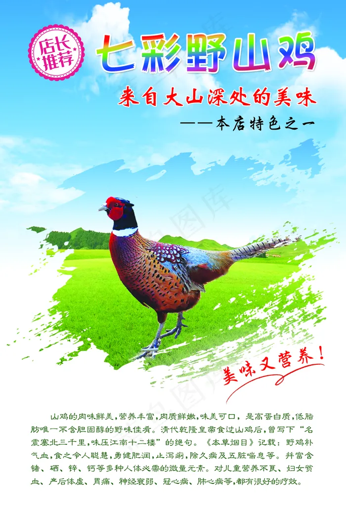 七彩野山鸡图片(1134x1701)psd模版下载