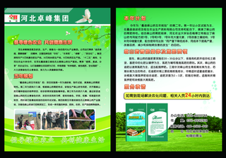 绿色集团宣传单图片