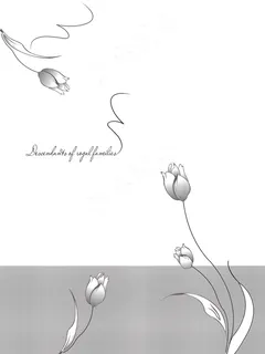 衣柜门图片 衣柜门图片