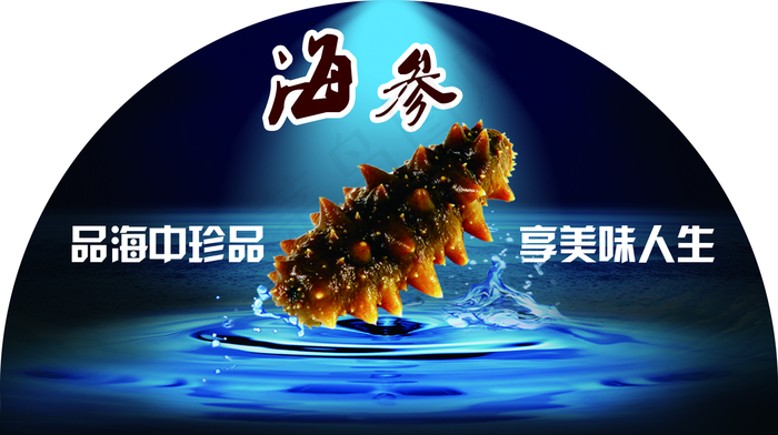 海参图片(4567x2559)psd模版下载