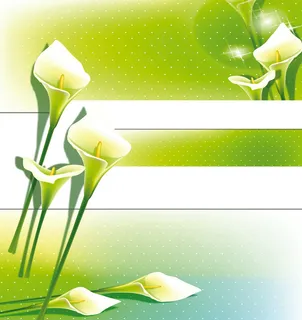 衣柜门图片 衣柜门图片