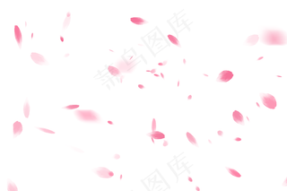 花瓣背景图片