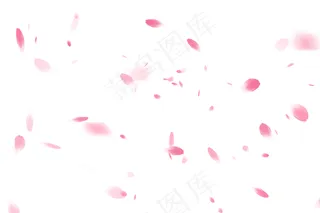 花瓣背景图片