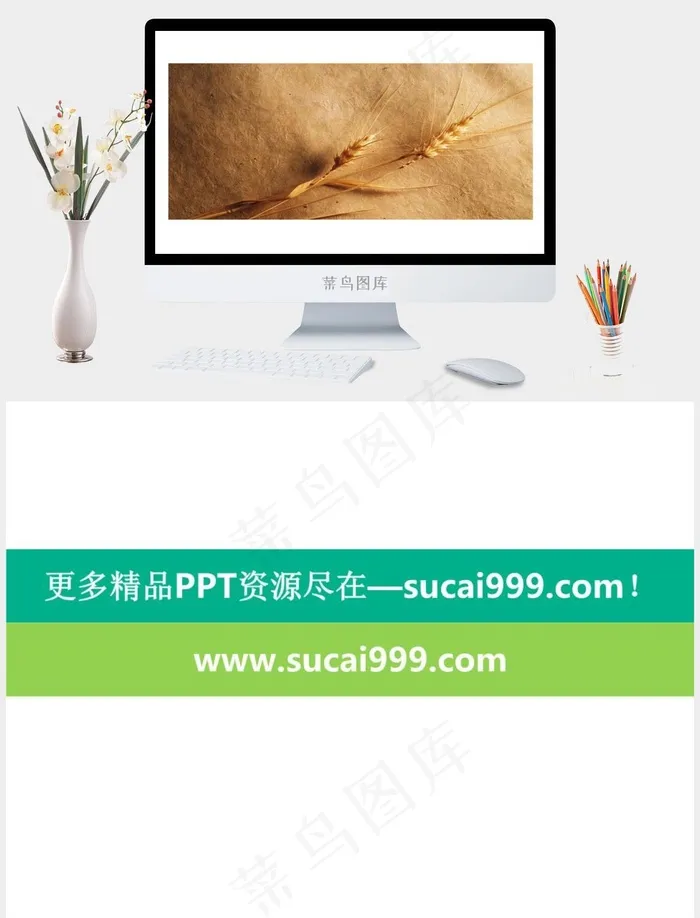 植物PPT背景图片白色突出实景风PPT模板白色突出实景风PPT模板