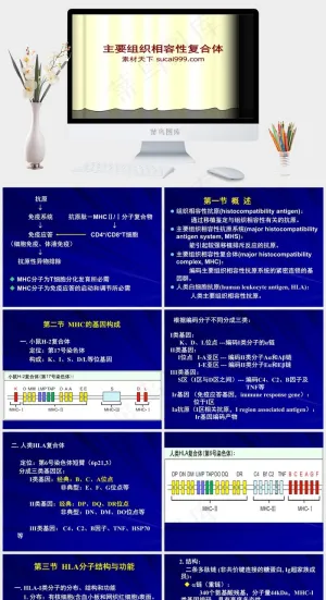 组织复合体临床医学PPT模板黄色白色营销PPT模板