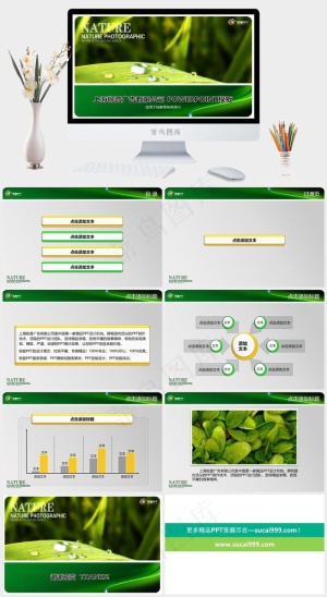 清新绿叶水珠ppt模板实景风突出PPT模板预览图