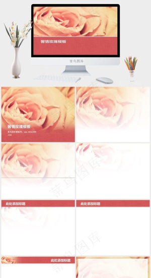 粉色馨情玫瑰花PPT幻灯片红色橘色橙色实景风突出PPT模板预览图