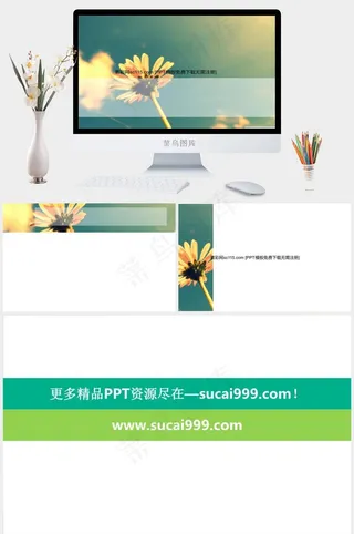 金黄花瓣鲜花PPT模板简洁PPT模板简洁PPT模板