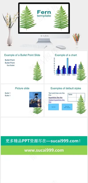 蕨类绿叶植物PPT模板白色突出PPT模板预览图