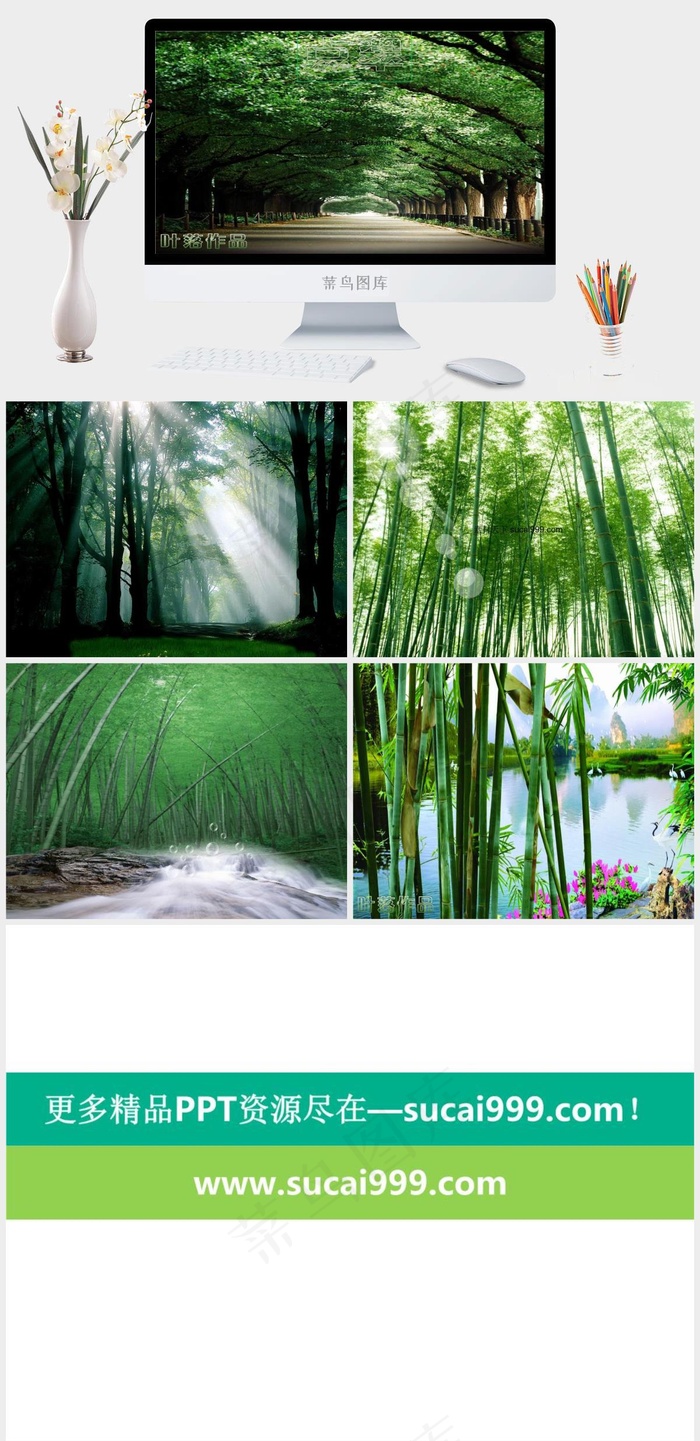 绿意葱葱竹林风光PPT灰色实景风PPT模板