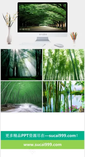 绿意葱葱竹林风光PPT灰色实景风PPT模板