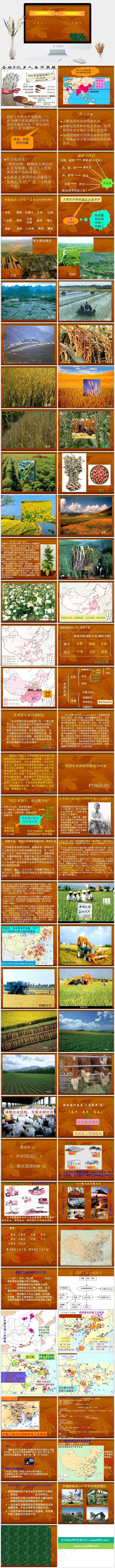 地理PPT橘色橙色营销PPT模板橘色橙色简洁PPT模板