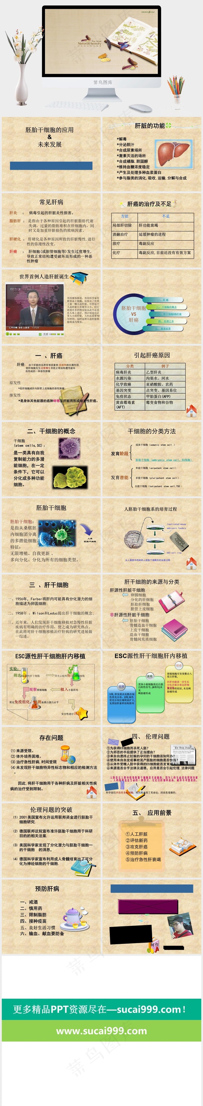 韩国风格医学PPT模板橘色橙色简洁PPT模板橘色橙色PPT模板