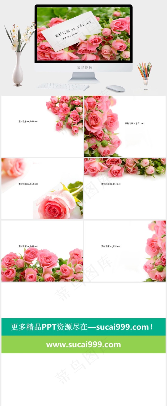 玫瑰花朵PPT模板实景风突出PPT模板实景风PPT模板