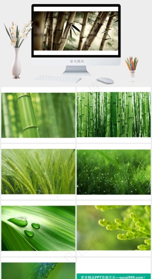 绿色简约PPT背景实景风PPT模板预览图