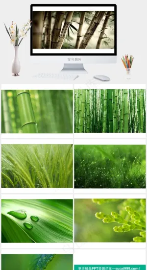 绿色简约PPT背景实景风PPT模板预览图