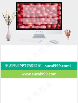 火红西红柿PPT模板红色突出PPT模板红色突出PPT模板预览图