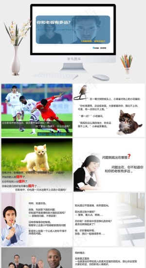 职场经验社交技巧PPT模板白色蓝色简洁PPT模板预览图