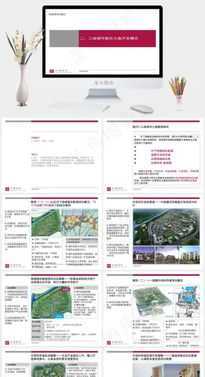 世联 二 三线城市新区大盘开发模式...白色营销简洁PPT模板