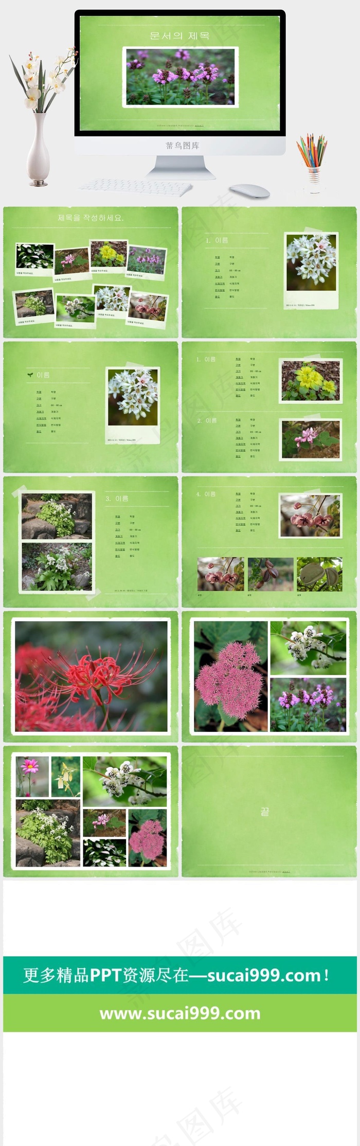 韩国主题各种美丽花卉素材ppt模板绿色PPT模板