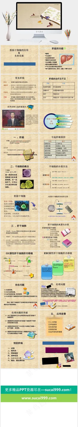 韩国风格医学PPT模板橘色橙色简洁PPT模板橘色橙色PPT模板预览图