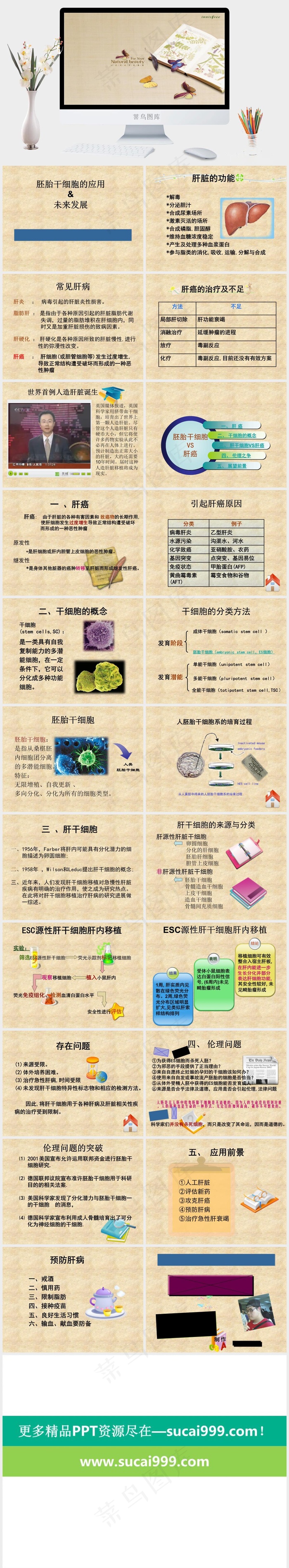 韩国风格医学PPT模板橘色橙色PPT模板