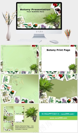 植物相片ppt模板绿色PPT模板预览图