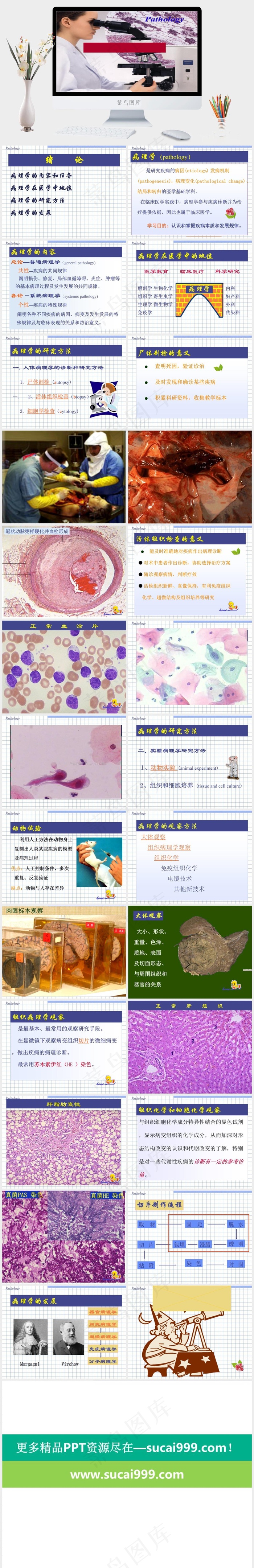 病理学绪论PPT模板灰色突出PPT模板