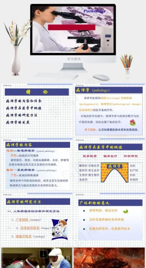 病理学绪论PPT模板灰色突出PPT模板