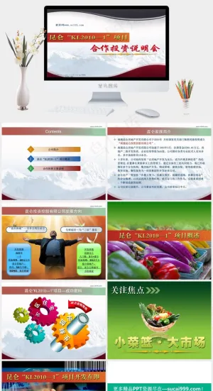 商务合作投资说明会PPT模板灰色营销PPT模板预览图