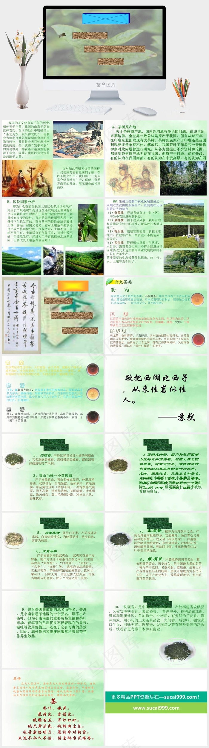 茗香茶韵文化PPT模板绿色灰色简洁实景风素雅标准PPT模板