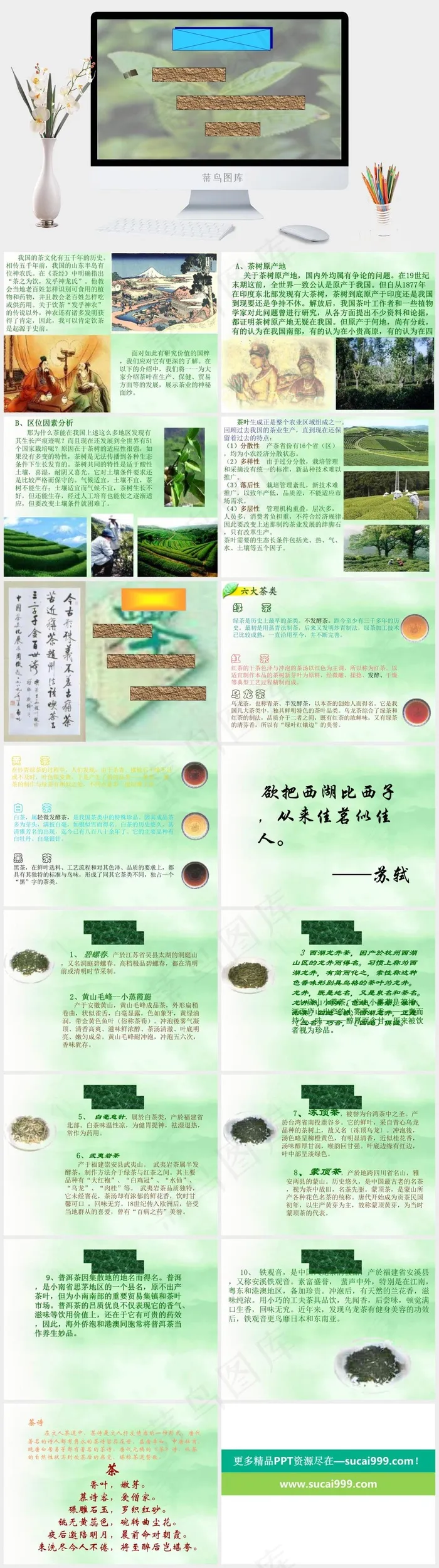 茗香茶韵文化PPT模板绿色灰色简洁实景风素雅标准PPT模板