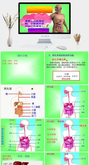 消化和吸收ppt人教版绿色PPT模板标准PPT模板预览图