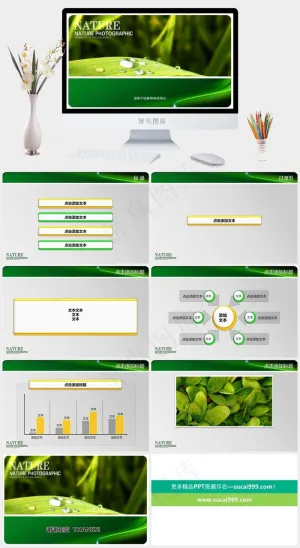绿叶晶莹水珠ppt模板突出实景风PPT模板预览图