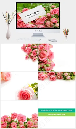 粉红玫瑰PPT实景风突出PPT模板实景风突出PPT模板