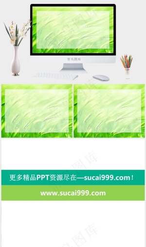 草原黑白到彩色渐变动态ppt模板绿色突出柔美PPT模板绿色突出柔美PPT模板预览图