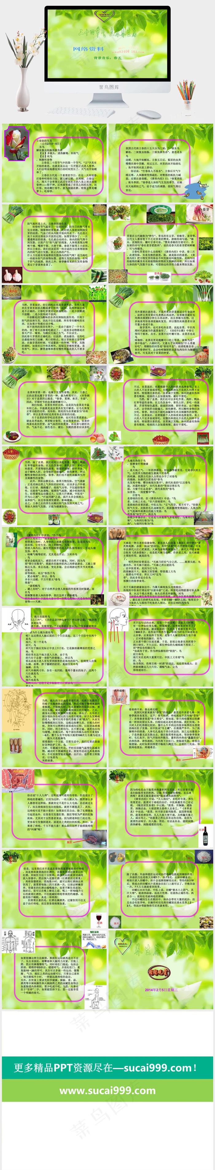 二十四节气立春养生篇PPT模板绿色柔美PPT模板