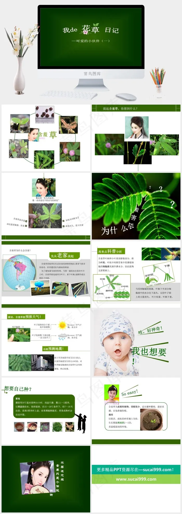日记绿色营销简洁PPT模板