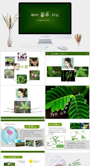 日记绿色营销简洁PPT模板预览图