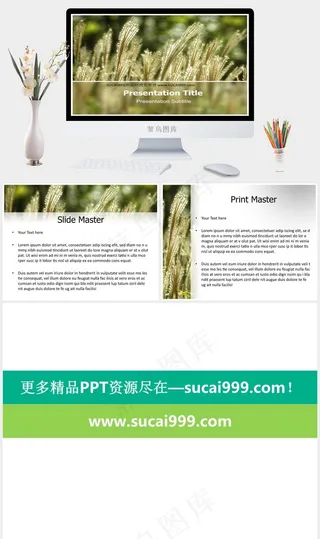 芦苇ppt模板黄色实景风PPT模板黄色实景风PPT模板