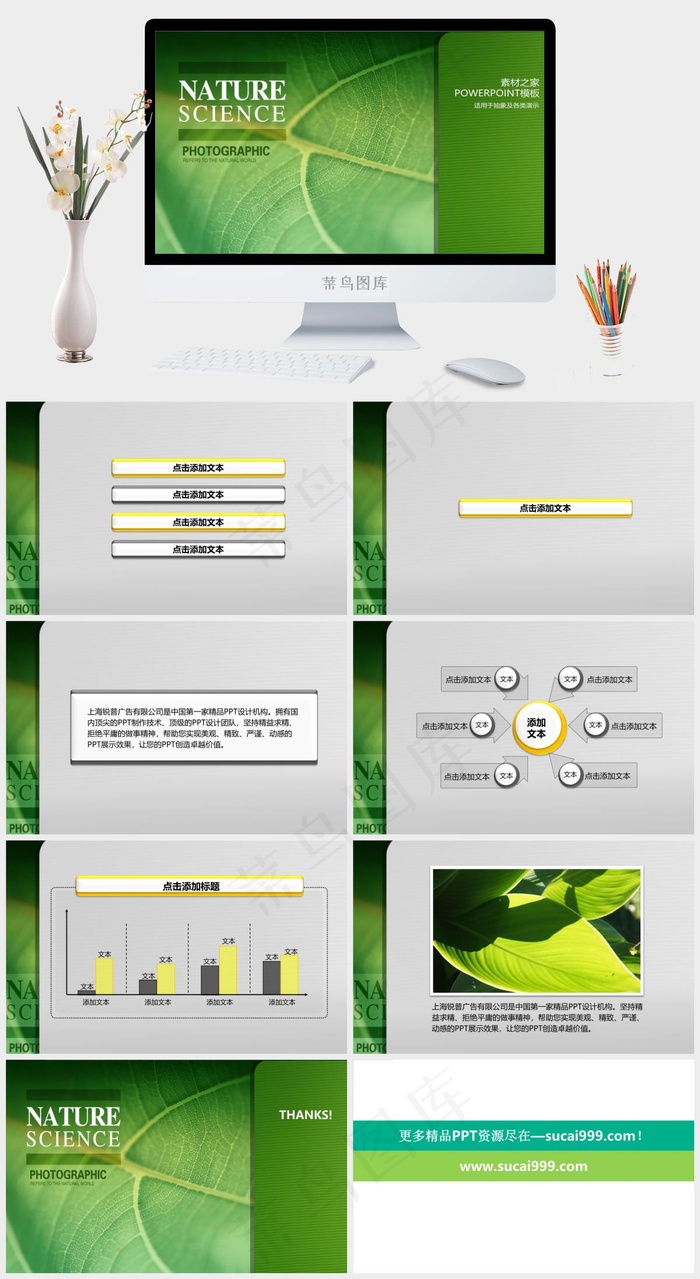 简洁的绿色植物ppt模板绿色突出PPT模板