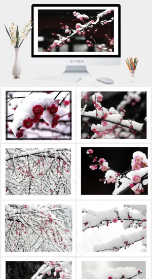 各种梅花PPT背景图片灰色PPT模板预览图