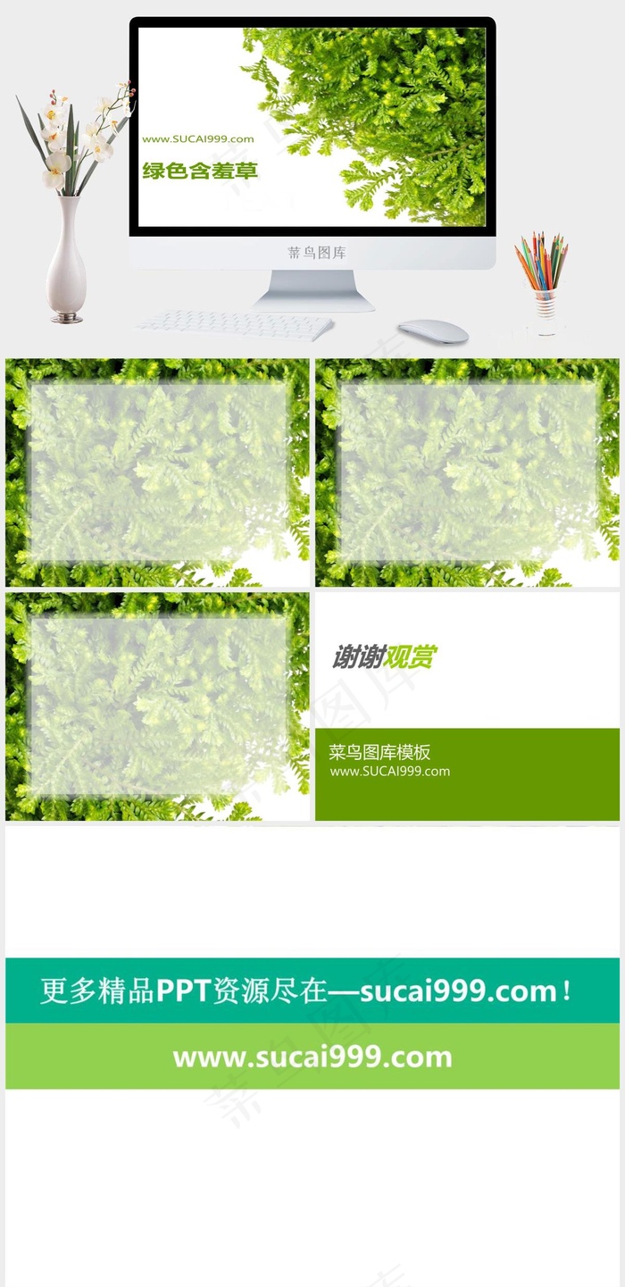 含羞草PPT背景图片白色实景风PPT模板白色实景风PPT模板