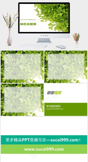 含羞草PPT背景图片白色实景风PPT模板白色实景风PPT模板预览图