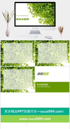 含羞草PPT背景图片白色实景风PPT模板白色实景风PPT模板预览图